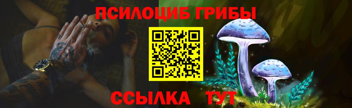 Псилоцибиновые грибы Cubensis  Вход с VPN  Галлюциногенные грибы прущие грибы  Унеча 